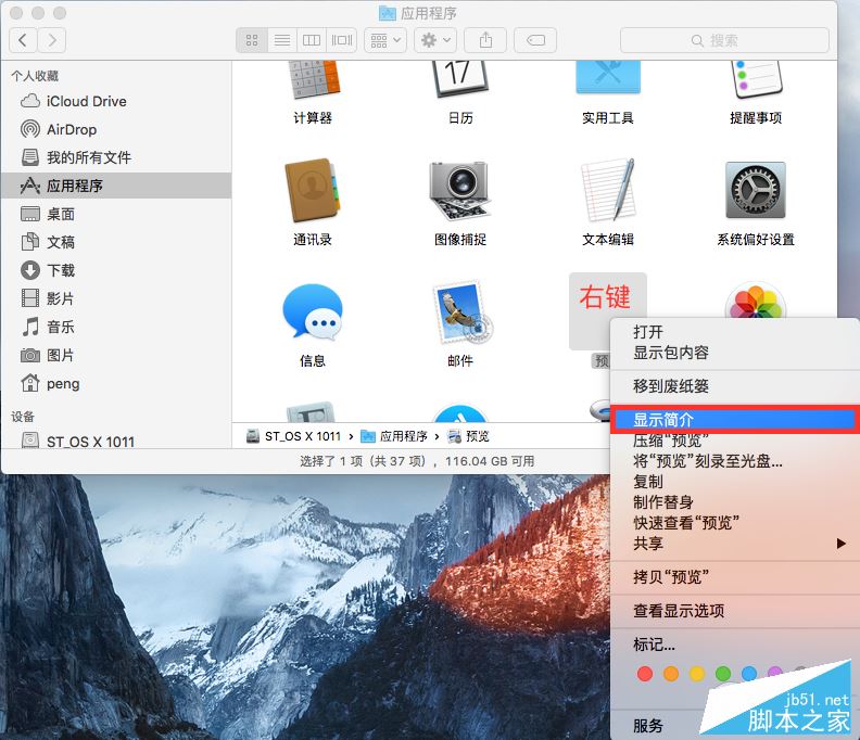 Remove icon from mac dock